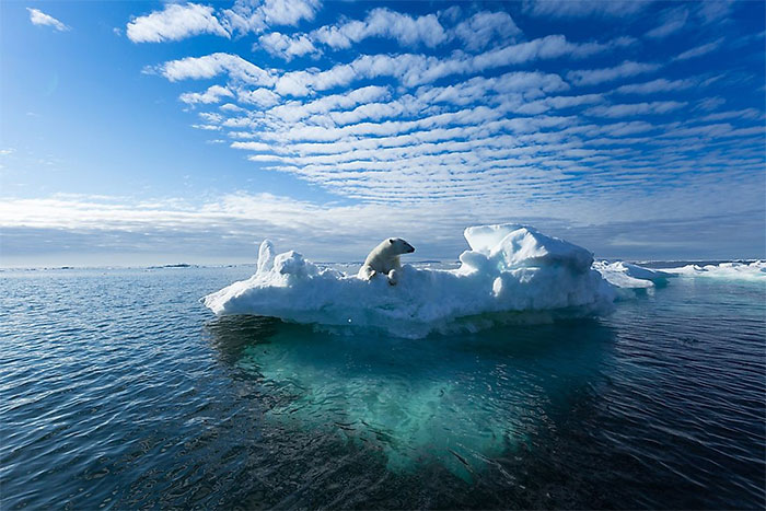  Sự nóng lên toàn cầu là một trong những nguyên nhân chính làm tan chảy sông băng. 