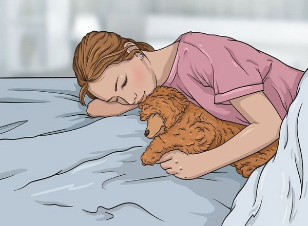 Nếu bạn nuôi thú cưng ngủ trên giường, nên thay ga trải giường ba đến bốn ngày một lần.