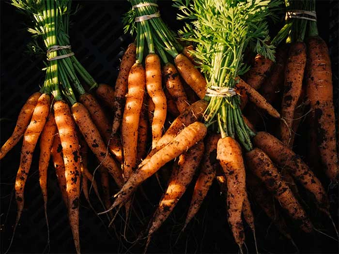 Top 3 loại rau củ tốt cho mắt lại bổ gan, phòng bệnh dạ dày
