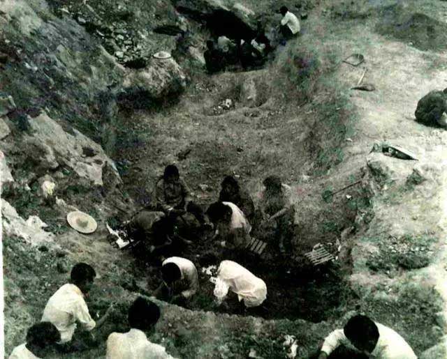 Nông dân đào đất tìm được đôi đũa kỳ lạ, chuyên gia lấy 3 tem phiếu để mua, không ngờ giá trị hàng tỷ đồng