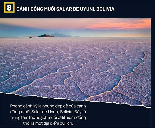 Giải mã những 