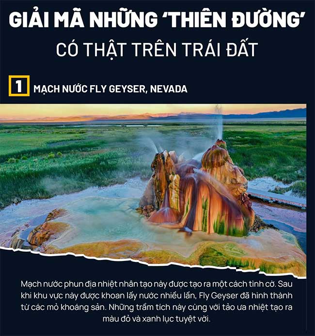 Giải mã những 