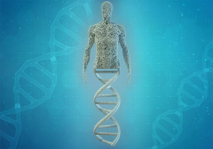   Trong DNA của con người có một mô hình số học và ký hiệu chữ tượng hình. 