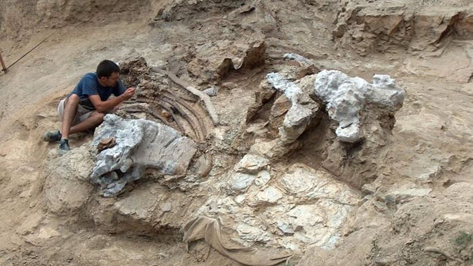  Quá trình khai quật các bộ hài cốt hóa thạch vĩ đại 