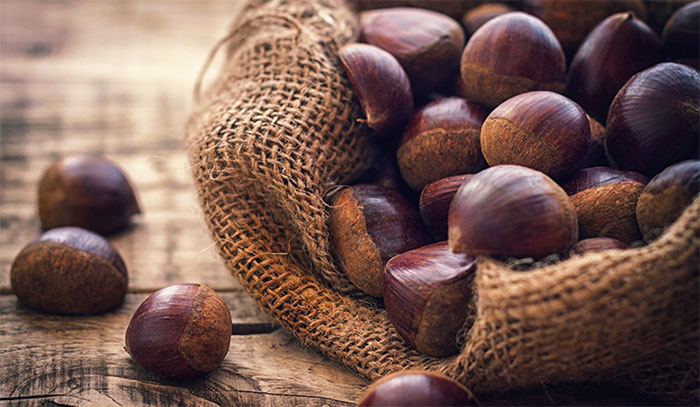 Hạt dẻ - Thực phẩm của thiên đường