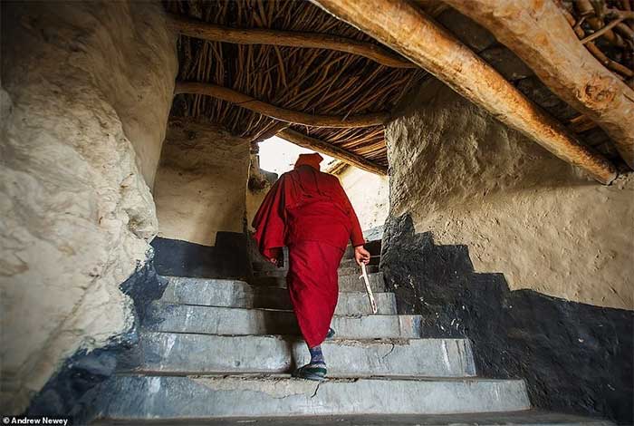 Một tu sĩ leo nhiều bậc thang lên sân thượng để cầu nguyện vào sáng sớm tại Tu viện Phugtal.