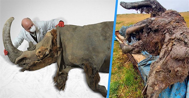 Việc hồi sinh các sinh vật thời tiền sử có thể dẫn đến mối đe dọa đối với con người?