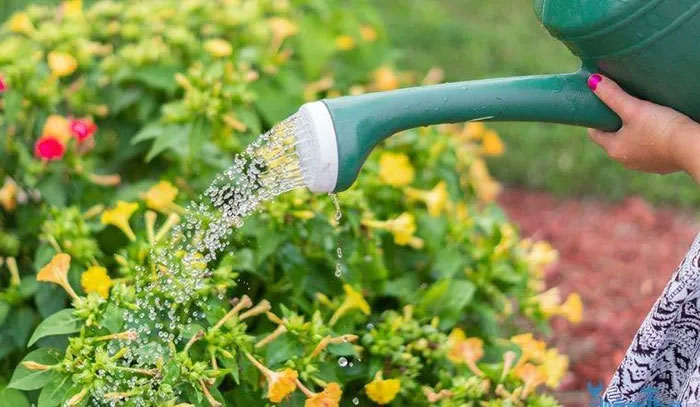 Chất thải độc hại là gì? Chất thải của thành phố có 