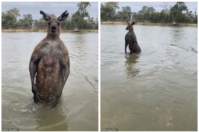 Sau màn ẩu đả, người đàn ông quay đi, để lại "kẻ lạ mặt" đứng bất động giữa sông.