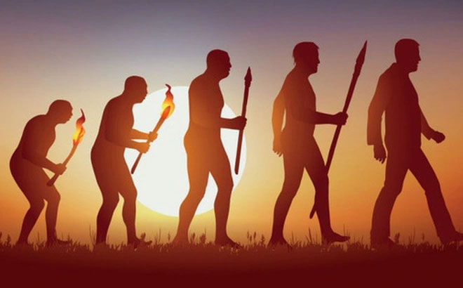 Nghiên cứu mới giúp mở rộng thuyết tiến hóa của Darwin