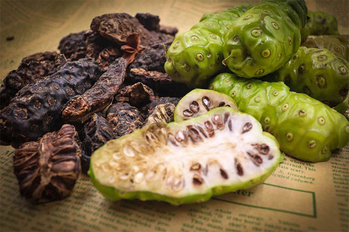 Quả nhàu - loại quả có mùi cực khó chịu nhưng lại là vị thuốc quý đối với sức khoẻ