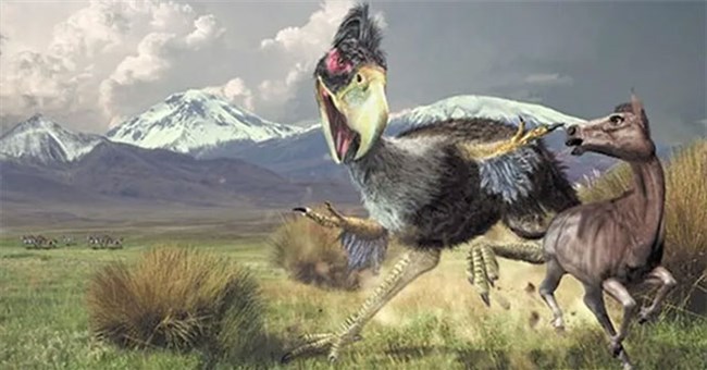 Top 10 loài chim tiền sử hung ác nhất trên đời