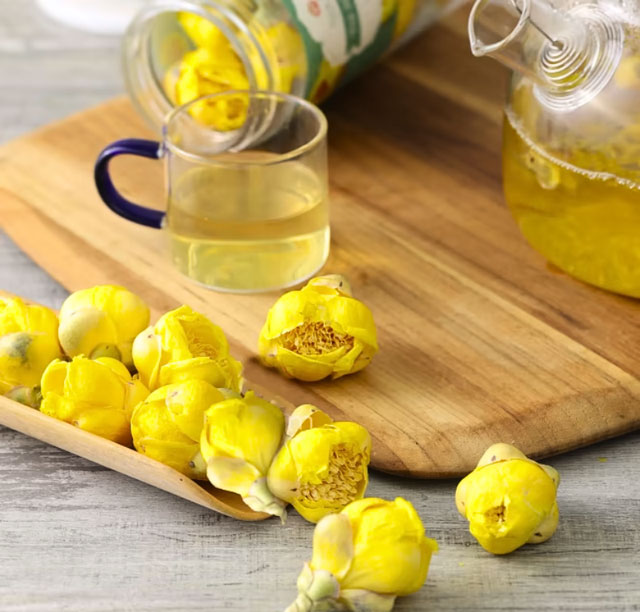 Độc lạ loài cây quý hiếm ở Việt Nam: Hiếm nơi nào có, nguy cơ tuyệt chủng cao!