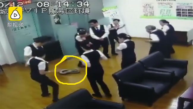  Một con trăn dài 2 mét chẳng hiểu ở đâu ra bất ngờ rơi xuống.