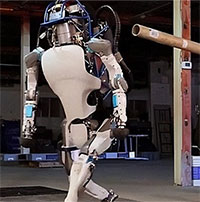 Khám phá mới tiết lộ khả năng đáng kinh ngạc của "robot sống"