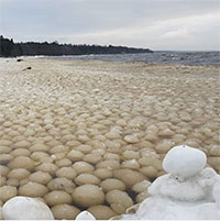 Kỳ lạ hàng ngàn quả bóng tuyết trôi dạt vào bờ biển