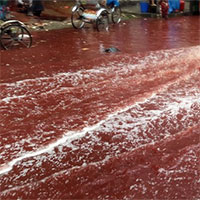 Bí ẩn về những cơn "mưa máu" xuất hiện liên tục tại Ấn Độ
