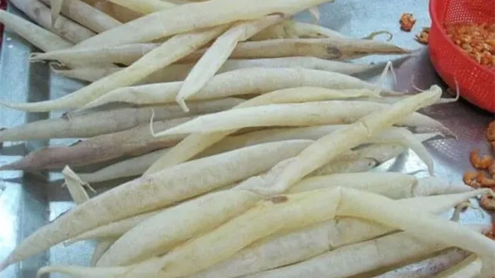 Loài cá chứa 