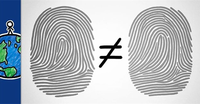 Tại sao trên thế giới, hầu như không có hai người nào có dấu vân tay giống hệt nhau? 