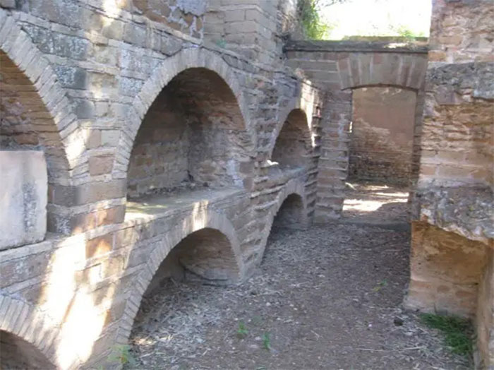 Khám phá Appian - 