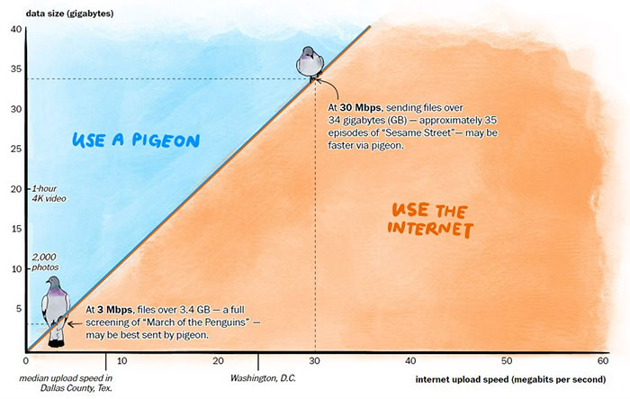 Sự thật khó tin: Tốc độ Internet ở vùng nông thôn Mỹ còn chậm hơn cả bồ câu đưa thư