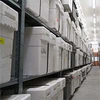 "Thư viện" đông lạnh lưu trữ hơn 40.000 khối băng