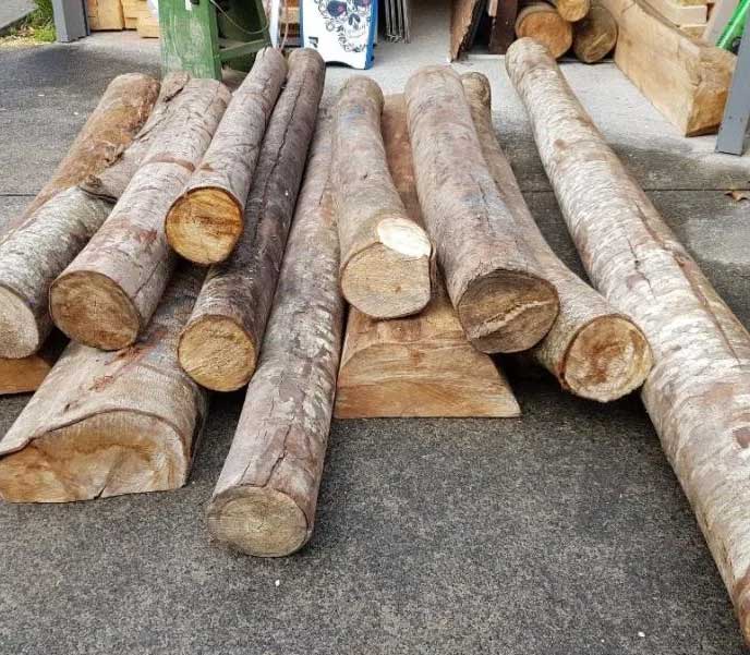 Loại gỗ nhẹ nhất thế giới được sử dụng để chế tạo các bộ phận máy bay