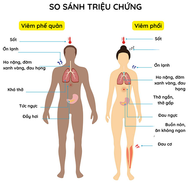 Viêm phế quản có sốt không?