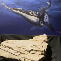 Lộ diện “rồng quái vật” khổng lồ, bà con 90 triệu tuổi của rắn