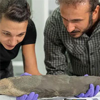 Phát hiện báu vật 200.000 năm của “người khổng lồ khác loài”