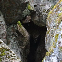 Giải mã tiếng gõ bí ẩn trong hang động Phần Lan