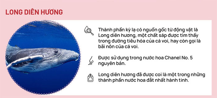 Bí ẩn tạo nên những loại nước hoa kỳ lạ nhất mọi thời đại