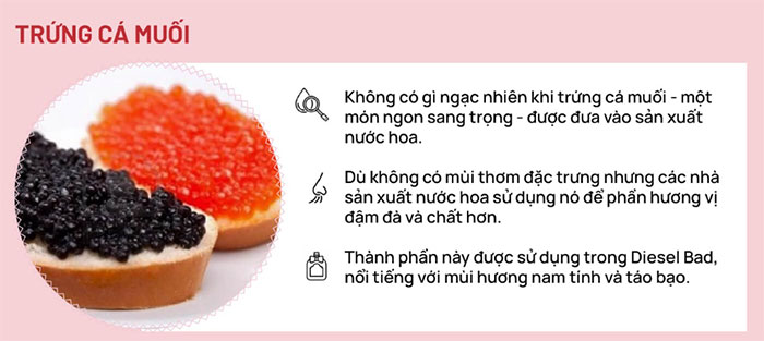 Bí ẩn tạo nên những loại nước hoa kỳ lạ nhất mọi thời đại