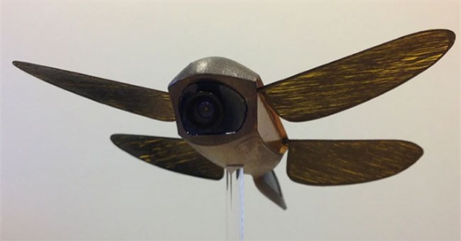 Bí ẩn của sinh học: Tại sao không thể chế tạo máy bay có đôi cánh giống như chuồn chuồn?