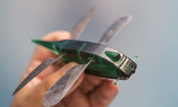 Bí ẩn sinh học: Tại sao chúng ta không thể chế tạo máy bay có cánh như chuồn chuồn?