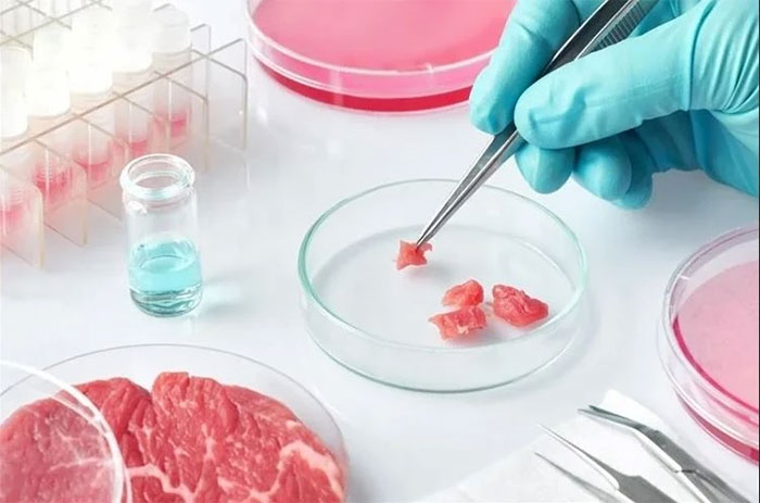 Thịt nhân tạo có thể thay thế thịt truyền thống trên bàn ăn?