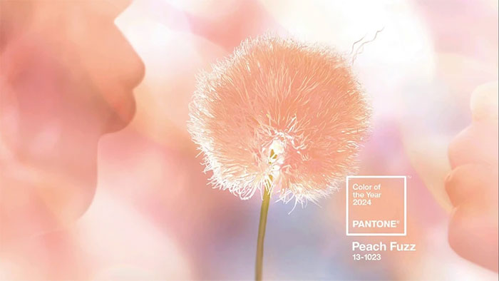 Pantone công bố màu của năm 2024: Tượng trưng cho lòng nhân ái, sự kết nối giữa con người và sức khỏe tinh thần