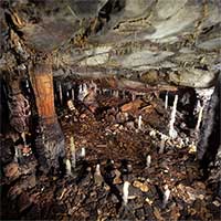 Hang động bị phong ấn trong 16.000 năm, chứa đựng kho báu khảo cổ quý giá