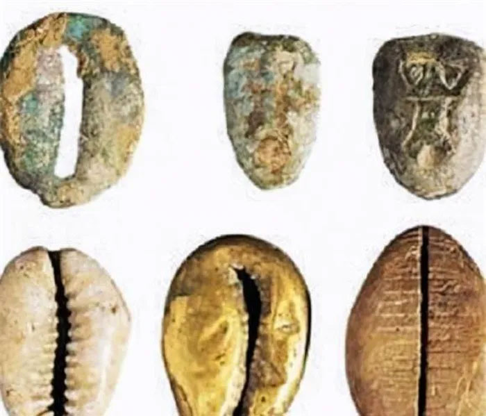 Vỏ sò là tiền tệ của Trung Quốc cổ đại, tại sao người xưa không sưu tầm thêm vỏ sò để làm giàu?