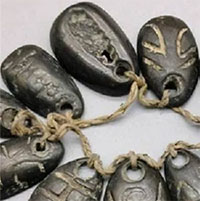 Vỏ sò là tiền tệ một thời của Trung Hoa cổ đại, tại sao người xưa không nhặt nhiều vỏ sò hơn để làm giàu?