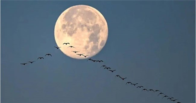 Trăng tròn cuối cùng năm 2023 đúng dịp Giáng Sinh, một thập kỷ nữa mới có lại