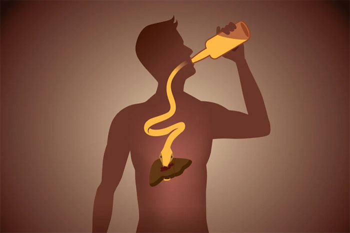  Uống rượu lâu dài có thể gây ra các bệnh như gan nhiễm mỡ, xơ gan, viêm gan do rượu. 