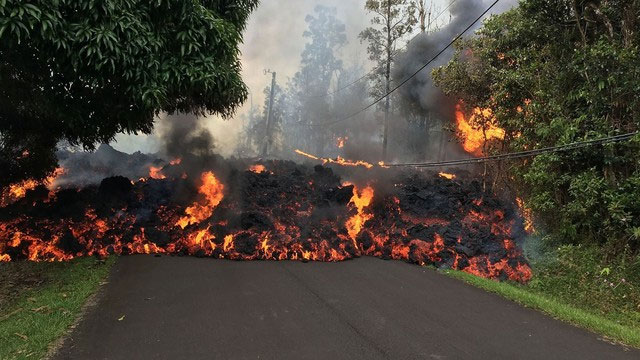 Tính dễ cháy của magma khiến thực vật xung quanh miệng núi lửa nhanh chóng bị đốt cháy.