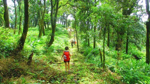 Con đường đá trăm tuổi xuyên rừng phía Bắc: Mang ý nghĩa lịch sử, du khách nhận xét tựa như chuyện cổ tích