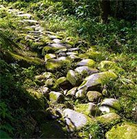 Con đường đá trăm tuổi xuyên rừng ở miền Bắc: Mang dấu ấn lịch sử, du khách nhận xét như cổ tích