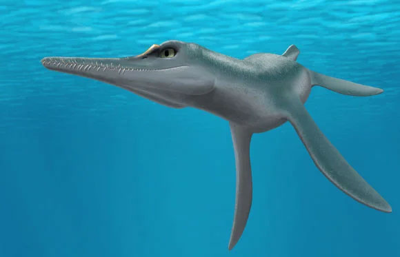 Quái vật 80 triệu năm tuổi đầu cá sấu, mình cá heo xuất hiện ở Mỹ
