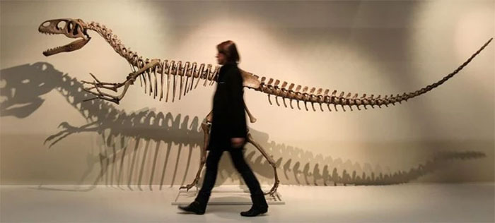 200 năm nghiên cứu khủng long: Vẫn còn nhiều bí ẩn chưa được giải mã