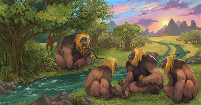 Bí ẩn cái chết của loài khỉ khổng lồ cao hơn 3m đã từng tồn tại ở khắp Trung Quốc