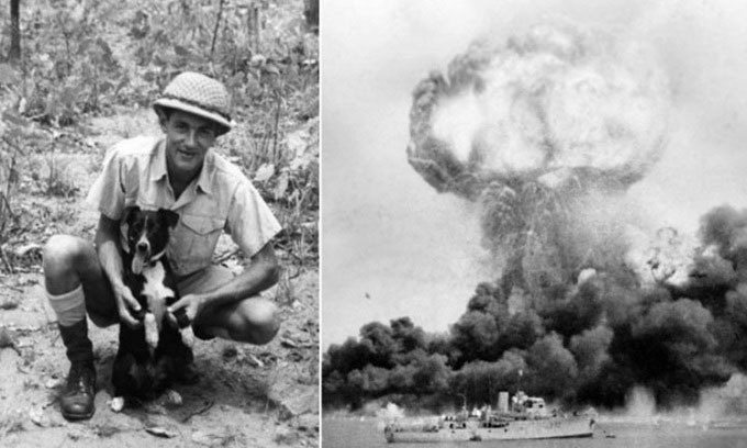 Chú chó cứu quân đội Úc thoát khỏi vụ đánh bom
