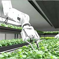 Khám phá những trang trại nông nghiệp chỉ có robot